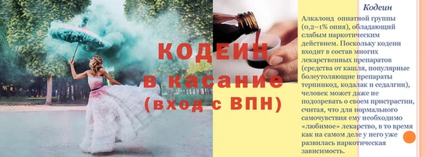 кокс Алексин