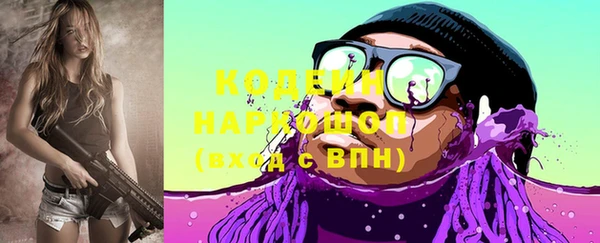 молекула духа Алзамай